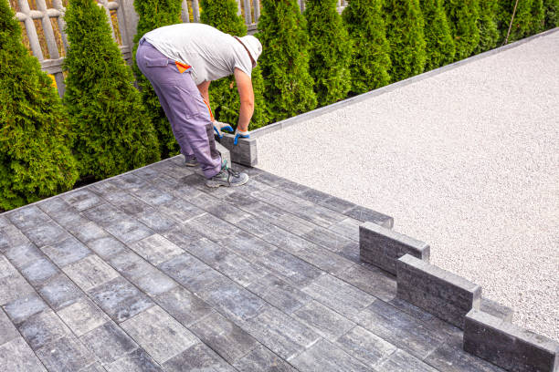 Best Driveway Paving Contractor  in Ball Pond, CT